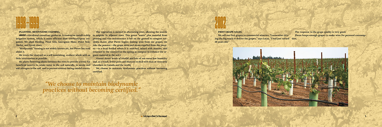 Timeline-book-example